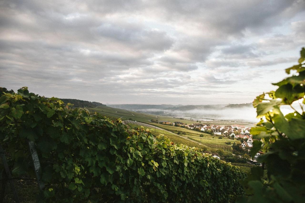 Weingut Pastoriushaus - Artur Steinmann 호텔 솜머하우젠 외부 사진