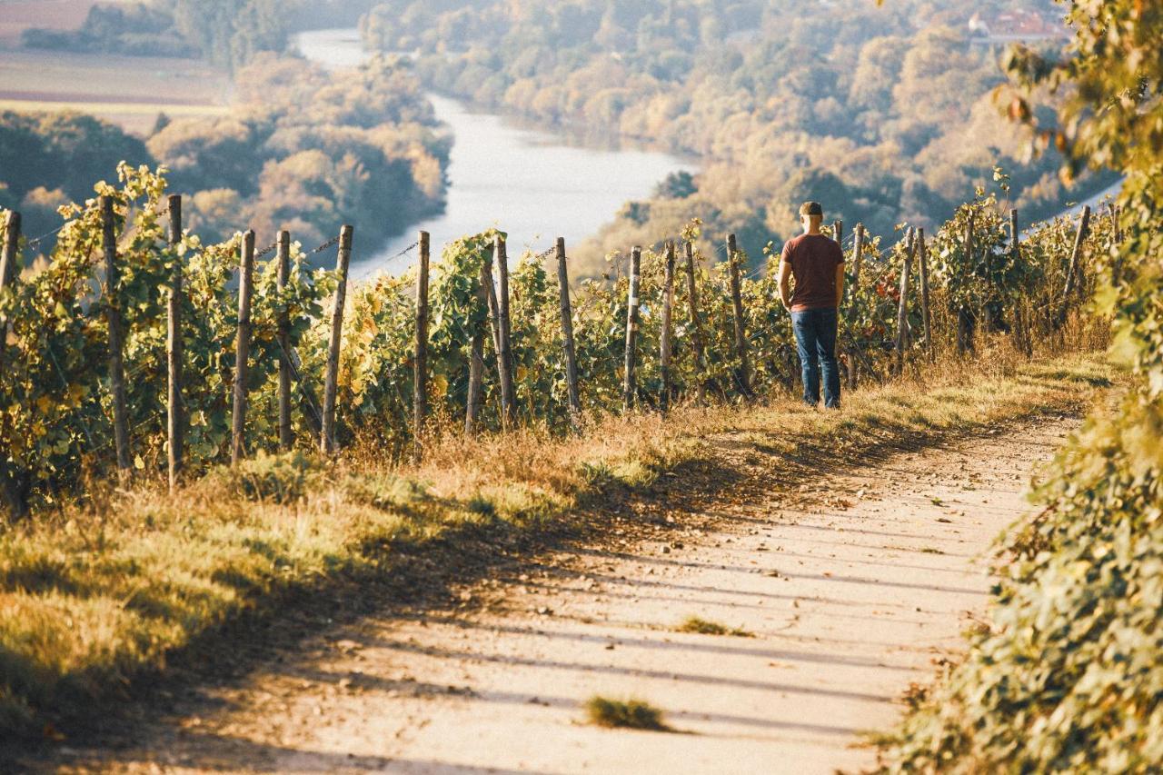 Weingut Pastoriushaus - Artur Steinmann 호텔 솜머하우젠 외부 사진